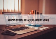 区块链初创公司sky[区块链的公司]